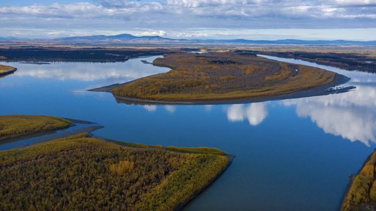 Arktik permafrost'un erimesi bir 'cıva bombasını' ortaya çıkarabilir