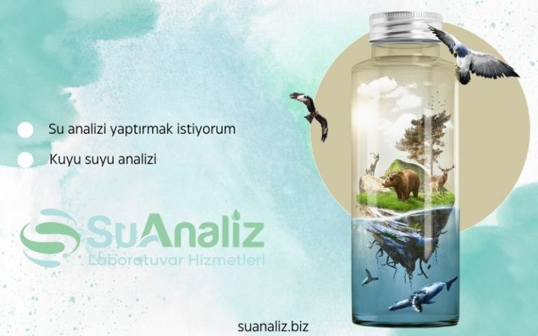 Su Analizi Yaptırmak İstiyorum: Sağlığınız İçin Neden Bu Kadar Önemli?