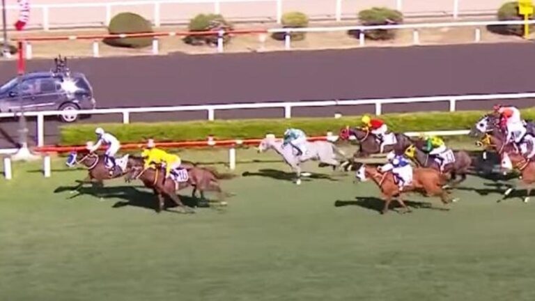 99. Gazi Koşusu’nu Cutha ile Ahmet Çelik kazandı! Yarış heyecanı Kanal D ve Tay TV’de yaşandı…